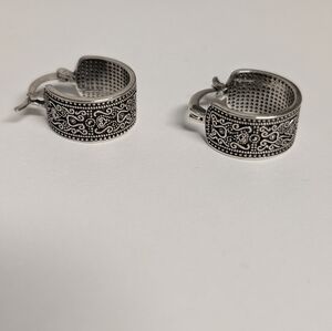 Elegant Hoop Earrings